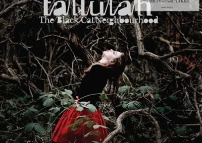 Albumcover – Fall